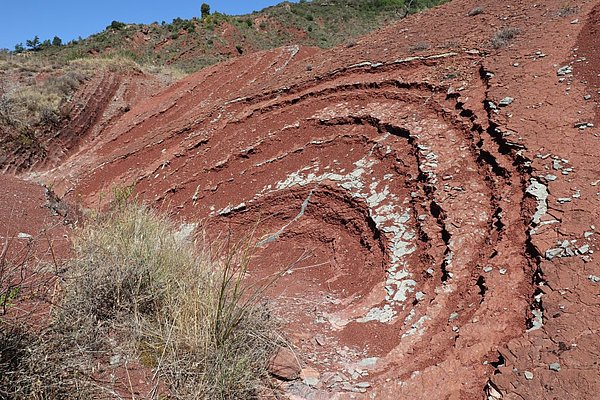 La Lieude - Palaeontological site