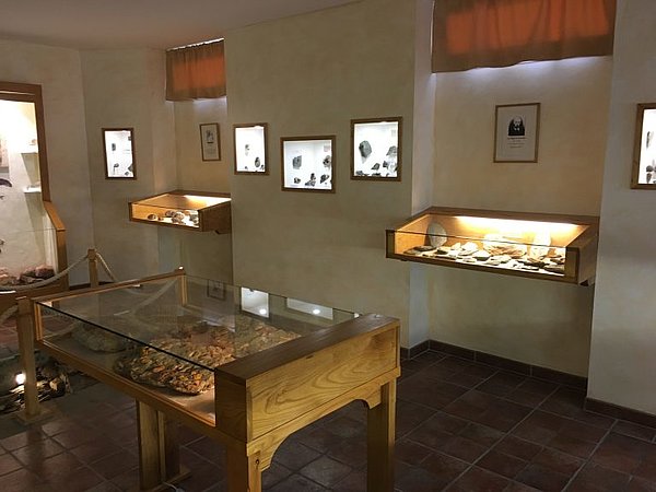 Museum of Paleontology