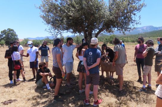 PANGEA Students in Spain